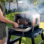 فر و اون توستر چندکاره فوق حرفه‌ای نینجا با قابلیت دودی کردن  برند NINJA OO101 WOODFIRE - تصویر 5