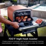 فر و اون توستر چندکاره فوق حرفه‌ای نینجا با قابلیت دودی کردن  برند NINJA OO101 WOODFIRE - تصویر 14