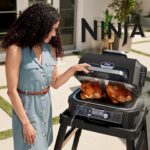 گریل باربیکیو نینجا مدل Ninja OG850